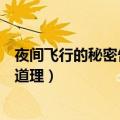 夜间飞行的秘密告诉我们什么（夜间飞行的秘密告诉我们啥道理）