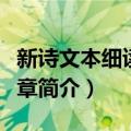 新诗文本细读十三章（关于新诗文本细读十三章简介）
