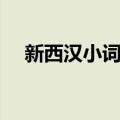 新西汉小词典（关于新西汉小词典简介）