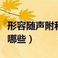 形容随声附和的成语（形容随声附和的成语有哪些）