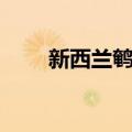 新西兰鹌鹑（关于新西兰鹌鹑简介）