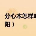 分心木怎样吃补肾壮阳（怎样吃分心木补肾壮阳）