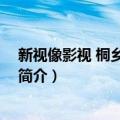 新视像影视 桐乡有限公司（关于新视像影视 桐乡有限公司简介）