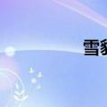雪豹演员表（雪豹简介）