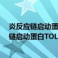 炎反应链启动蛋白TOLL样受体与急性胰腺炎（关于炎反应链启动蛋白TOLL样受体与急性胰腺炎介绍）