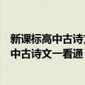 新课标高中古诗文一看通：粤教版：选修本（关于新课标高中古诗文一看通：粤教版：选修本简介）