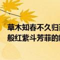 草木知春不久归百般红紫斗芳菲的意思（草木知春不久归百般红紫斗芳菲的解释）