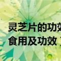 灵芝片的功效与作用及食用方法（灵芝片怎么食用及功效）