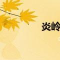 炎岭村（关于炎岭村介绍）