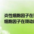 炎性细胞因子在颈动脉体感受低氧中的调节作用（关于炎性细胞因子在颈动脉体感受低氧中的调节作用介绍）