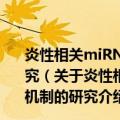 炎性相关miRNAs在TNF介导的急性肝衰竭中调控机制的研究（关于炎性相关miRNAs在TNF介导的急性肝衰竭中调控机制的研究介绍）