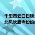 千里黄云白日曛北风吹雁雪纷纷的意思是（千里黄云白日曛北风吹雁雪纷纷的原文）
