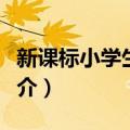 新课标小学生写字（关于新课标小学生写字简介）