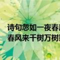 诗句忽如一夜春风来千树万树梨花开的意思（诗句忽如一夜春风来千树万树梨花开的解释）