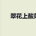 翠花上酸菜据介绍（故事梗概是什么）