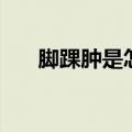 脚踝肿是怎么回事（脚踝肿是什么事）