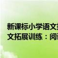 新课标小学语文拓展训练：阅读与作文（关于新课标小学语文拓展训练：阅读与作文简介）