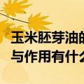 玉米胚芽油的功效与作用（玉米胚芽油的功效与作用有什么）
