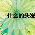 什么的头发填空词语（头发的词语搭配）