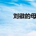 刘徽的母亲是谁（刘徽的母亲介绍）