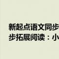 新起点语文同步拓展阅读：小学3年级（关于新起点语文同步拓展阅读：小学3年级简介）