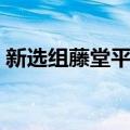 新选组藤堂平助（关于新选组藤堂平助简介）