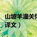 山坡羊潼关怀古原文（山坡羊潼关怀古原文及译文）