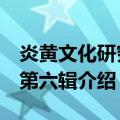 炎黄文化研究：第六辑（关于炎黄文化研究：第六辑介绍）