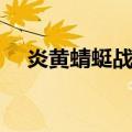 炎黄蜻蜓战机（关于炎黄蜻蜓战机介绍）