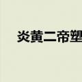 炎黄二帝塑像（关于炎黄二帝塑像介绍）