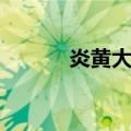 炎黄大帝（关于炎黄大帝介绍）
