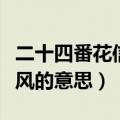 二十四番花信风的意思是什么（二十四番花信风的意思）