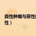 良性肿瘤与恶性肿瘤的区别是什么（怎么确认是良性还是恶性）
