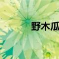 野木瓜怎么吃（野木瓜的简介）