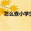 怎么查小学生考试分数（这些途径都可以）