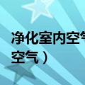 净化室内空气植物（有什么植物可以净化室内空气）
