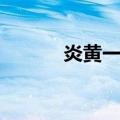 炎黄一号（关于炎黄一号介绍）