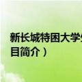 新长城特困大学生自强项目（关于新长城特困大学生自强项目简介）