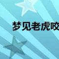 梦见老虎咬我（关于梦见老虎咬我解释）