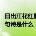 日出江花红胜火下一句（日出江花红胜火下一句诗是什么）