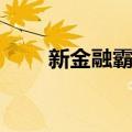 新金融霸权（关于新金融霸权简介）