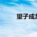 望子成龙意思（望子成龙的出处）