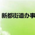 新都街道办事处（关于新都街道办事处简介）