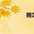 赕怎么读（赕读音简介）