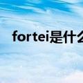 fortei是什么牌子（给大家介绍这个品牌）