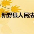 新野县人民法院（关于新野县人民法院简介）