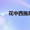 花中西施是什么花名（花中西施介绍）