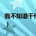 我不知道干什么也不重要歌词（傻子歌词简介）