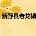 新野县老龙镇村（关于新野县老龙镇村简介）