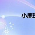 小鹿斑比读后感（小鹿斑比）